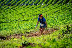 BIB: 
                            <button type="button" onclick="openModal(19161425)" class="btn btn-primary btn-sm float-right btn-popup" data-toggle="modal" data-target=".modal-high-quality">
                        <i class="fas fa-shopping-cart"></i> Add to Cart
                    </button>
                                            <button type="button" onclick="isThisMe(19161425, true)" class="btn btn-success btn-sm float-right btn-popup btn-isme hidden" data-toggle="tooltip" data-placement="bottom" title="นี่คือรูปของคุณใช่ไหม คลิกที่นี่เพื่อเอาเข้าอัลบั้ม">
                        <i class="fas fa-plus"></i> Add to album
                    </button>
                    <button type="button" onclick="isThisMe(19161425, false)" class="btn btn-warning btn-sm float-right btn-popup btn-isnotme hidden">
                        <i class="fas fa-ban"></i> Remove from album
                    </button>